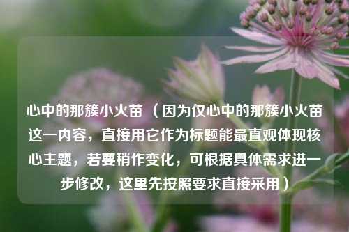 心中的那簇小火苗 （因为仅心中的那簇小火苗这一内容，直接用它作为标题能最直观体现核心主题，若要稍作变化，可根据具体需求进一步修改，这里先按照要求直接采用）