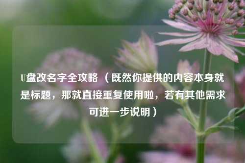 U盘改名字全攻略 （既然你提供的内容本身就是标题，那就直接重复使用啦，若有其他需求可进一步说明）