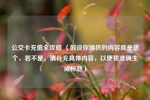 公交卡充值全攻略 （假设你提供的内容就是这个，若不是，请补充具体内容，以便我准确生成标题）