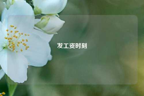 发工资时刻