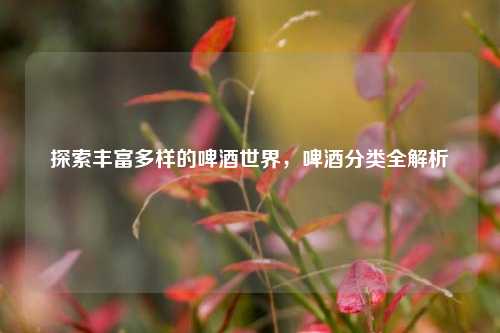 探索丰富多样的啤酒世界，啤酒分类全解析