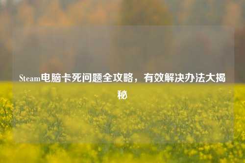 Steam电脑卡死问题全攻略，有效解决办法大揭秘