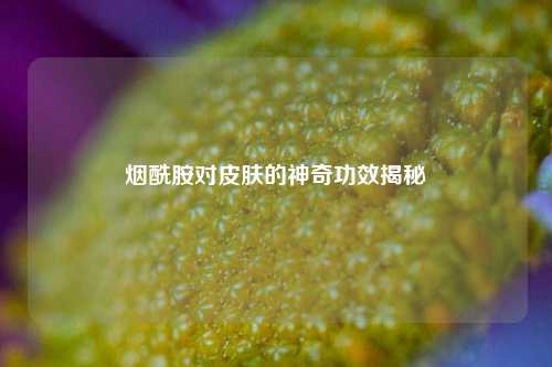 烟酰胺对皮肤的神奇功效揭秘
