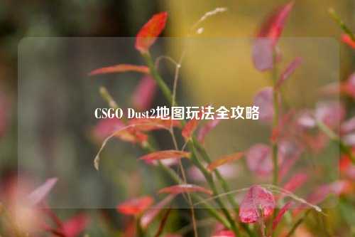 CSGO Dust2地图玩法全攻略
