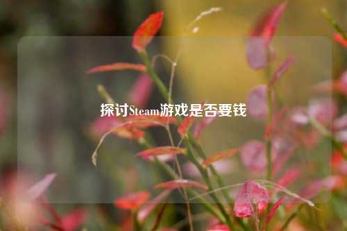 探讨Steam游戏是否要钱