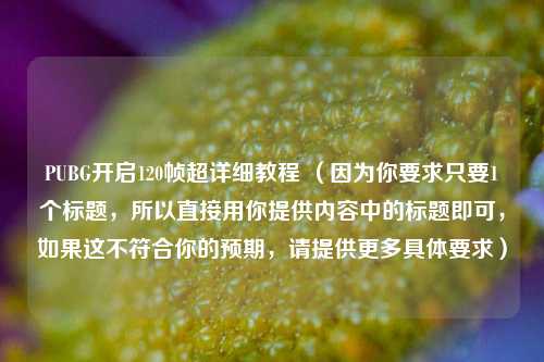 PUBG开启120帧超详细教程 (因为你要求只要1个标题,所以直接用你提供内容中的标题即可,如果这不符合你的预期,请提供更多具体要求)