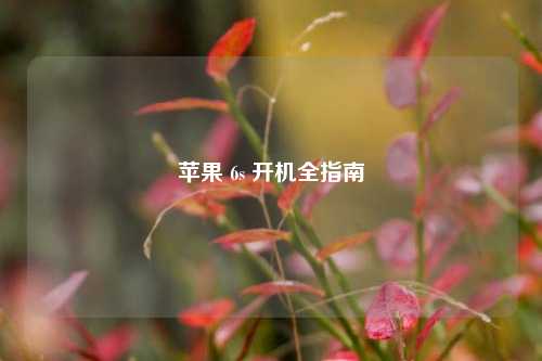 苹果 6s 开机全指南