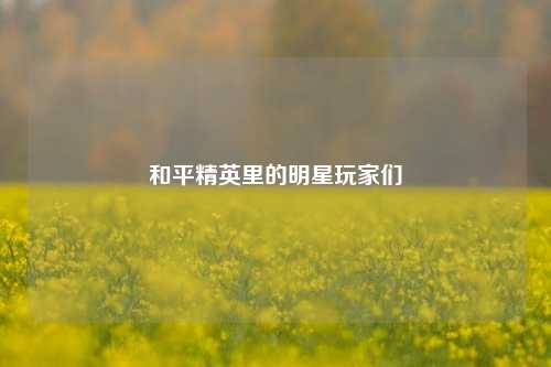 和平精英里的明星玩家们