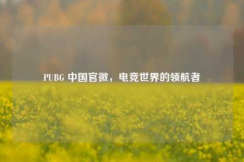 PUBG 中国官微，电竞世界的领航者