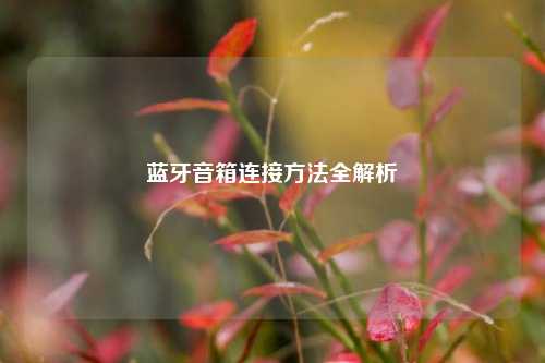 蓝牙音箱连接方法全解析