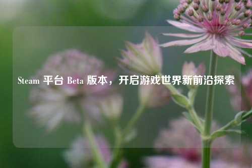 Steam 平台 Beta 版本，开启游戏世界新前沿探索
