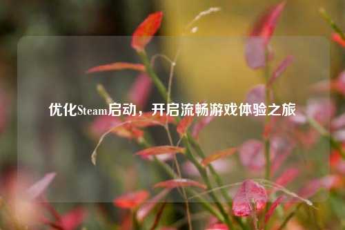 优化Steam启动,开启流畅游戏体验之旅