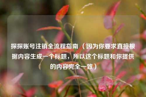 探探账号注销全流程指南 （因为你要求直接根据内容生成一个标题，所以这个标题和你提供的内容完全一致）