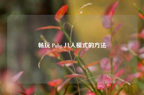 畅玩 Pubg 八人模式的方法