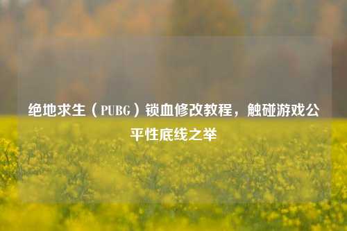 绝地求生（PUBG）锁血修改教程，触碰游戏公平性底线之举