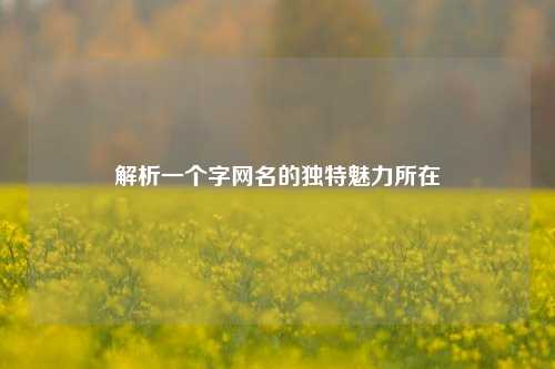 解析一个字网名的独特魅力所在