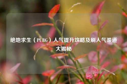 绝地求生（PUBG）人气提升攻略及刷人气渠道大揭秘