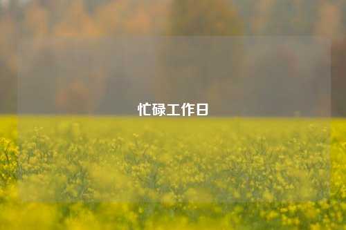忙碌工作日