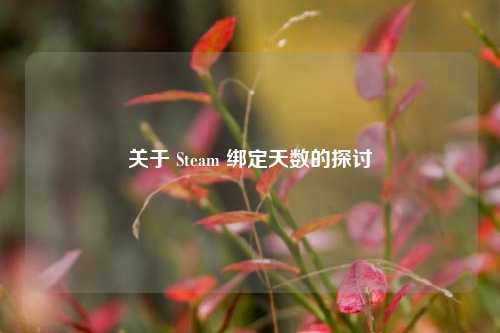 关于 Steam 绑定天数的探讨