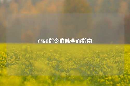CSGO指令消除全面指南
