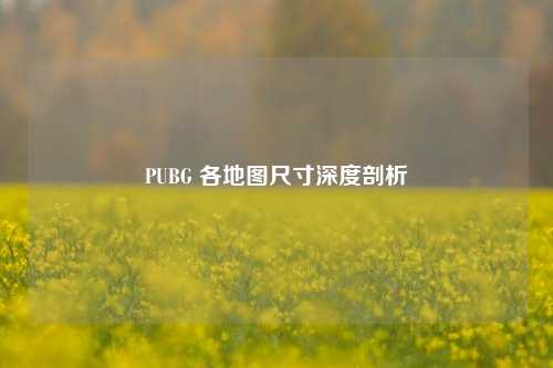 PUBG 各地图尺寸深度剖析