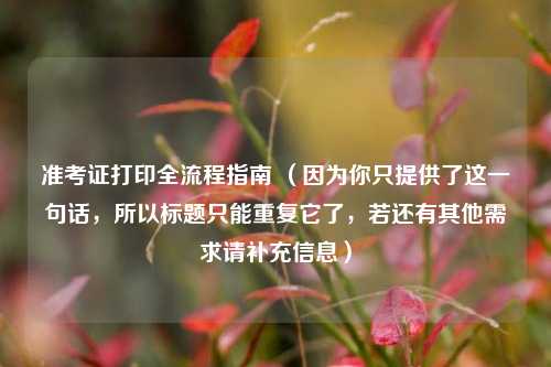 准考证打印全流程指南 （因为你只提供了这一句话，所以标题只能重复它了，若还有其他需求请补充信息）