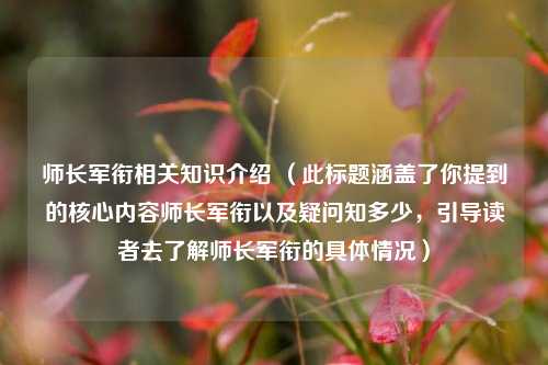 师长军衔相关知识介绍 (此标题涵盖了你提到的核心内容师长军衔以及疑问知多少,引导读者去了解师长军衔的具体情况)