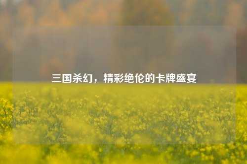 三国杀幻，精彩绝伦的卡牌盛宴