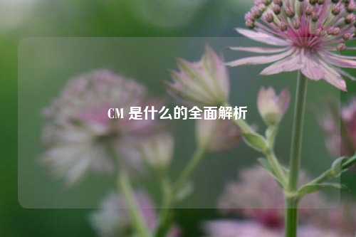 CM 是什么的全面解析