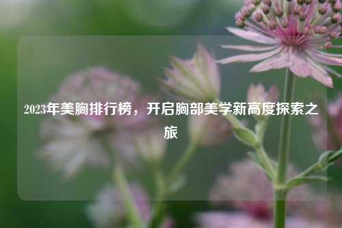2023年美胸排行榜,开启胸部美学新高度探索之旅