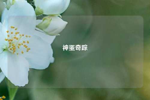 神蛋奇踪