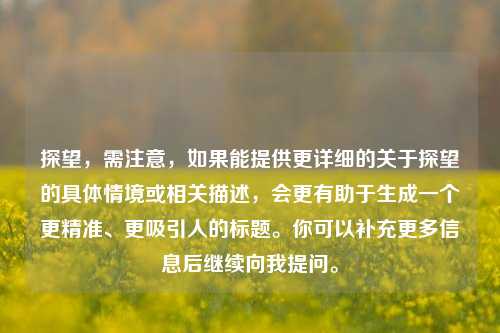 探望，需注意，如果能提供更详细的关于探望的具体情境或相关描述，会更有助于生成一个更精准、更吸引人的标题。你可以补充更多信息后继续向我提问。