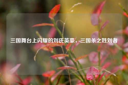 三国舞台上闪耀的刘氏英豪，三国杀之姓刘者