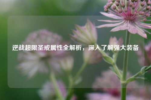逆战超限圣戒属性全解析,深入了解强大装备