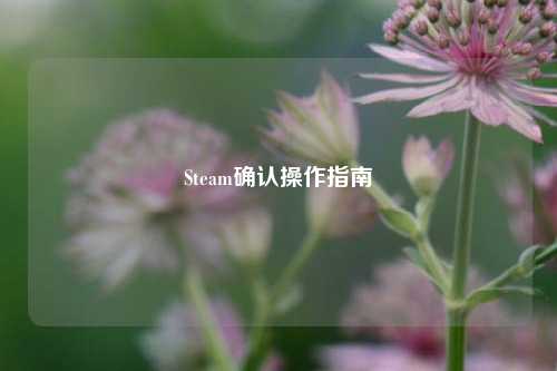 Steam确认操作指南