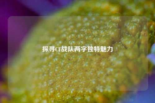 探寻CF战队两字独特魅力