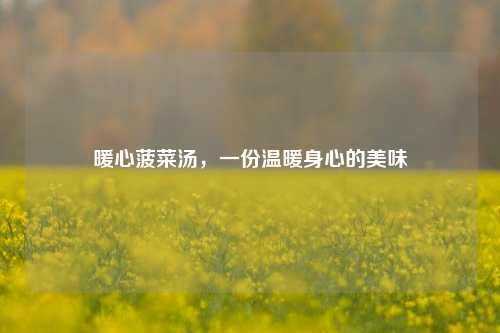 暖心菠菜汤,一份温暖身心的美味