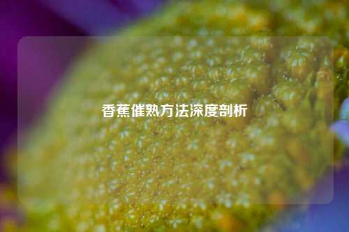 香蕉催熟方法深度剖析