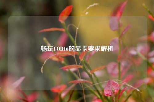 畅玩COD16的显卡要求解析