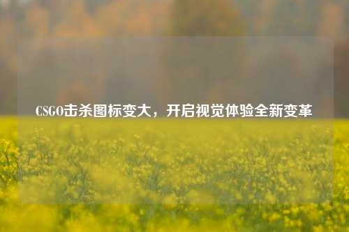 CSGO击杀图标变大,开启视觉体验全新变革