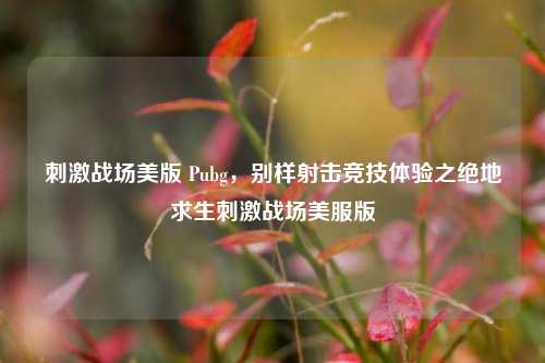 刺激战场美版 Pubg,别样射击竞技体验之绝地求生刺激战场美服版