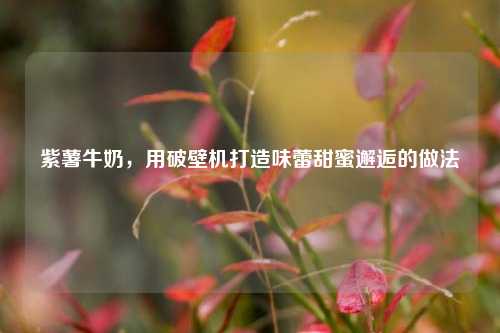 紫薯牛奶,用破壁机打造味蕾甜蜜邂逅的做法
