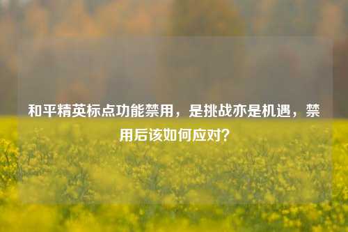 和平精英标点功能禁用，是挑战亦是机遇，禁用后该如何应对？