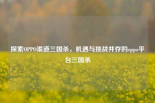 探索OPPO渠道三国杀，机遇与挑战并存的oppo平台三国杀