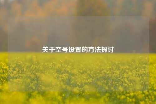 关于空号设置的方法探讨