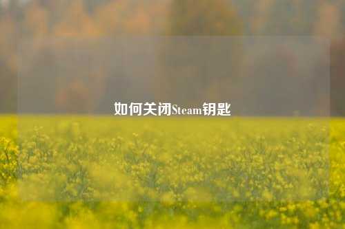 如何关闭Steam钥匙