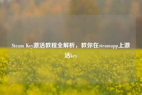 Steam Key激活教程全解析,教你在steamapp上激活key
