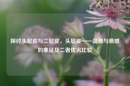 探讨头层皮与二层皮,头层皮——品质与质感的象征及二者优劣比较