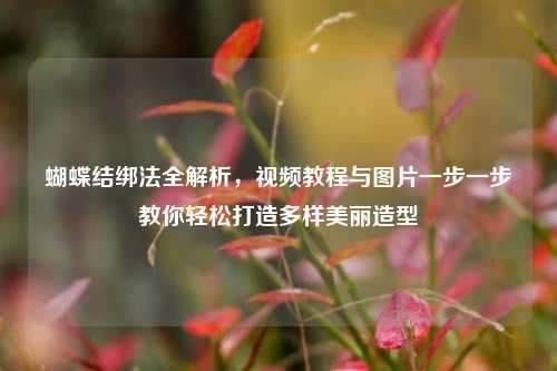 蝴蝶结绑法全解析,视频教程与图片一步一步教你轻松打造多样美丽造型