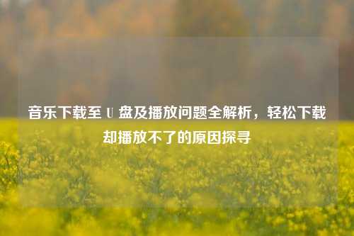 音乐下载至 U 盘及播放问题全解析，轻松下载却播放不了的原因探寻